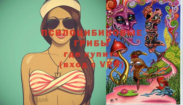 прущая мука Алзамай