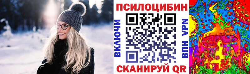 Галлюциногенные грибы Psilocybe мега зеркало дарк нет состав Железногорск-Илимский